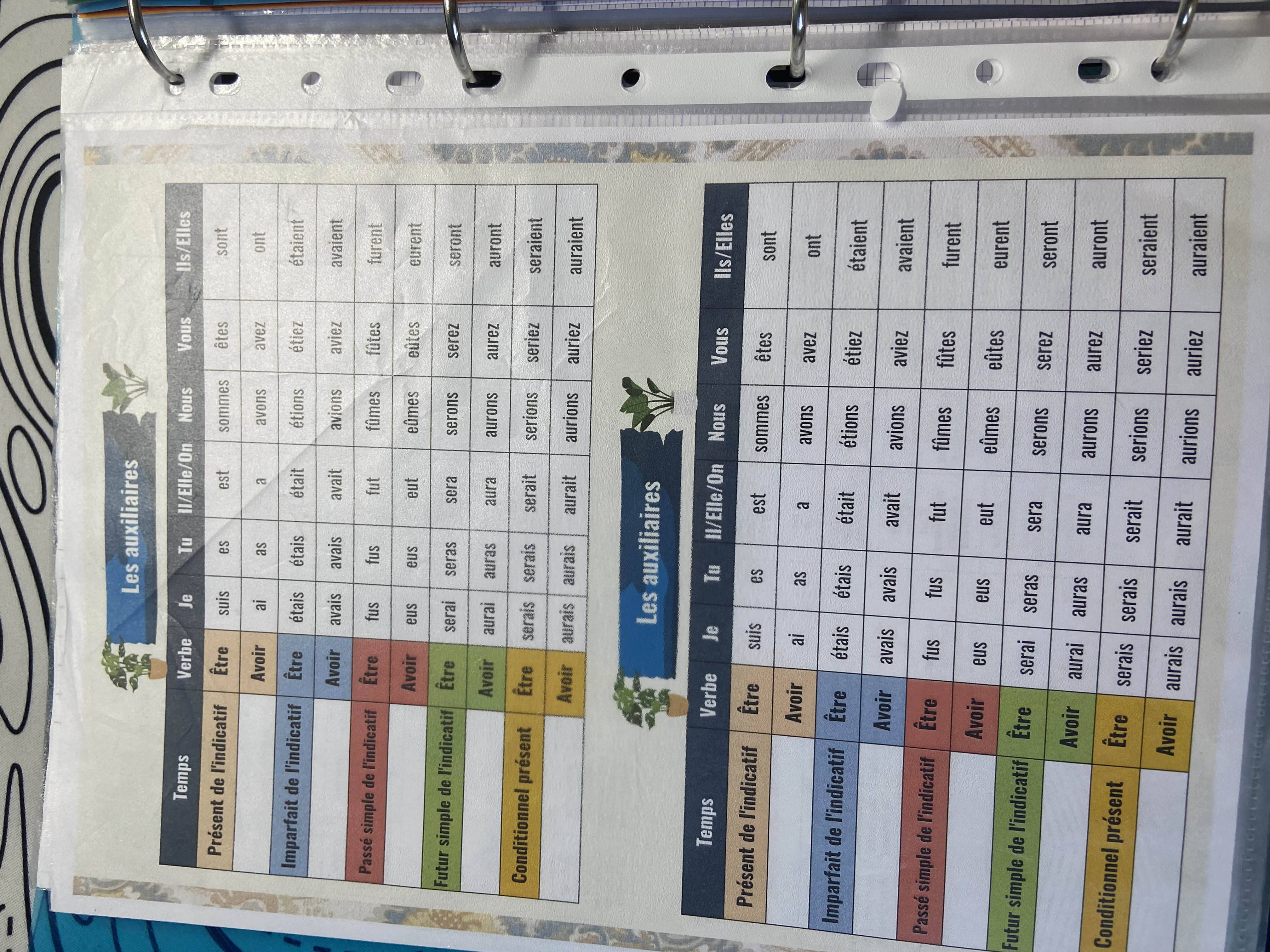 <p>Les conjugaison</p>