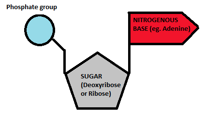 <p>Which group is this building block for?</p>