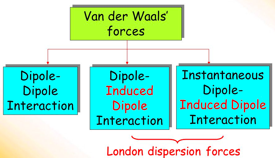 <ul><li><p>dipole-dipole forces</p></li></ul><ul><li><p>london dispersion forces </p></li></ul><p></p>