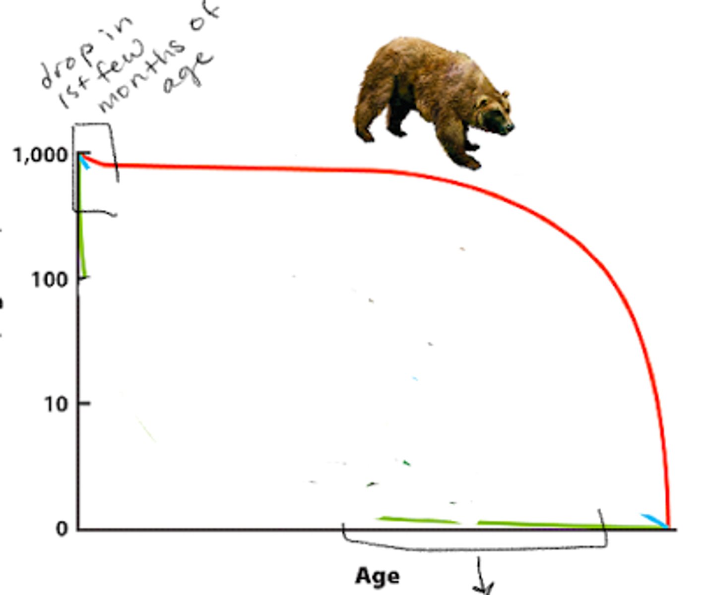 <p>surivorship curve</p>