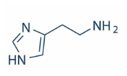 <p>Histamine is a neurotransmitter that can be either excitatory or inhibitory depending on the receptor it activates. Its receptors are GPCRs, and histaminergic neurons are located mainly in the thalamus and hypothalamus</p>