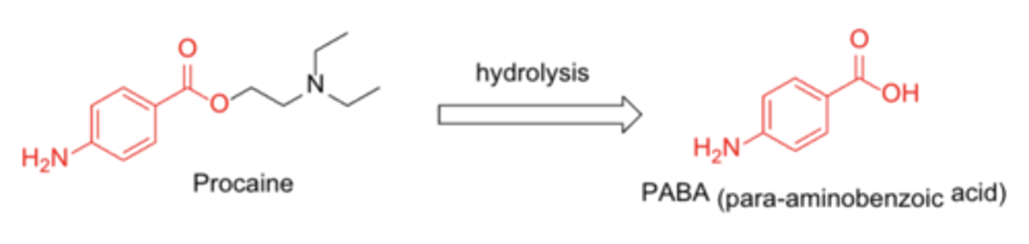 <p>Patients with a history of hypersensitivity to any local anesthetic (“caine”) agents, especially PABA-based agents</p>