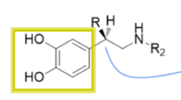 <p>R1=R2=H</p>
