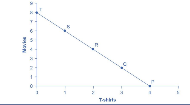 <ul><li><p>shows the various combinations of 2 goods that are affordable given consumer income</p></li></ul><p></p>