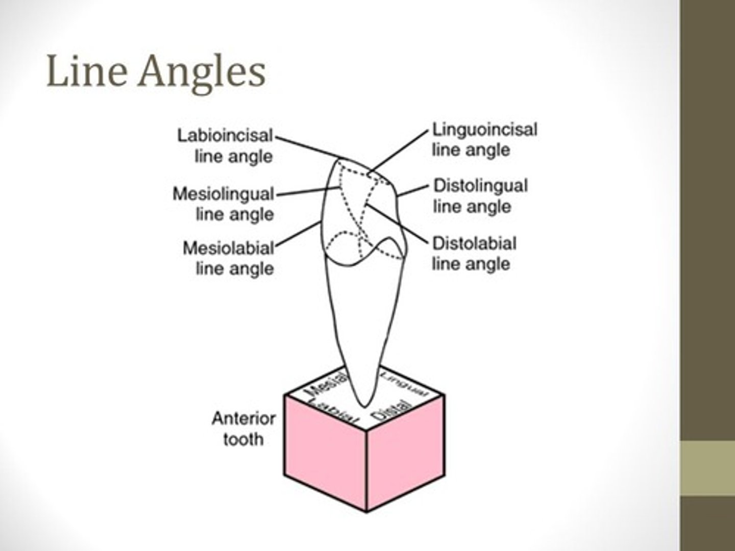 <p>6</p>
