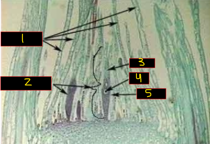 <p>What is 1? </p>