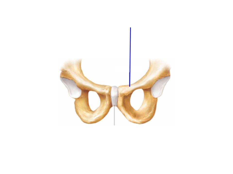 <p>What is this image pointing at? </p>