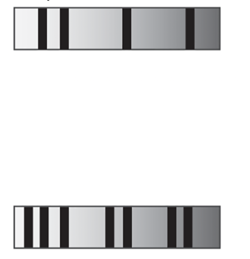 <p>Which of these two absorption spectra was obtained from above Earth’s atmosphere and which was from the surface of the Earth (looking out)?</p>