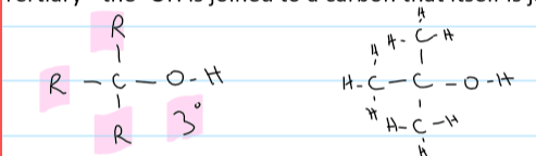 <ul><li><p>the -OH is joined to a carbon that is joined to 3 other carbons</p></li></ul>