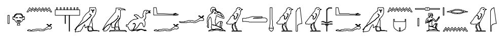 term image