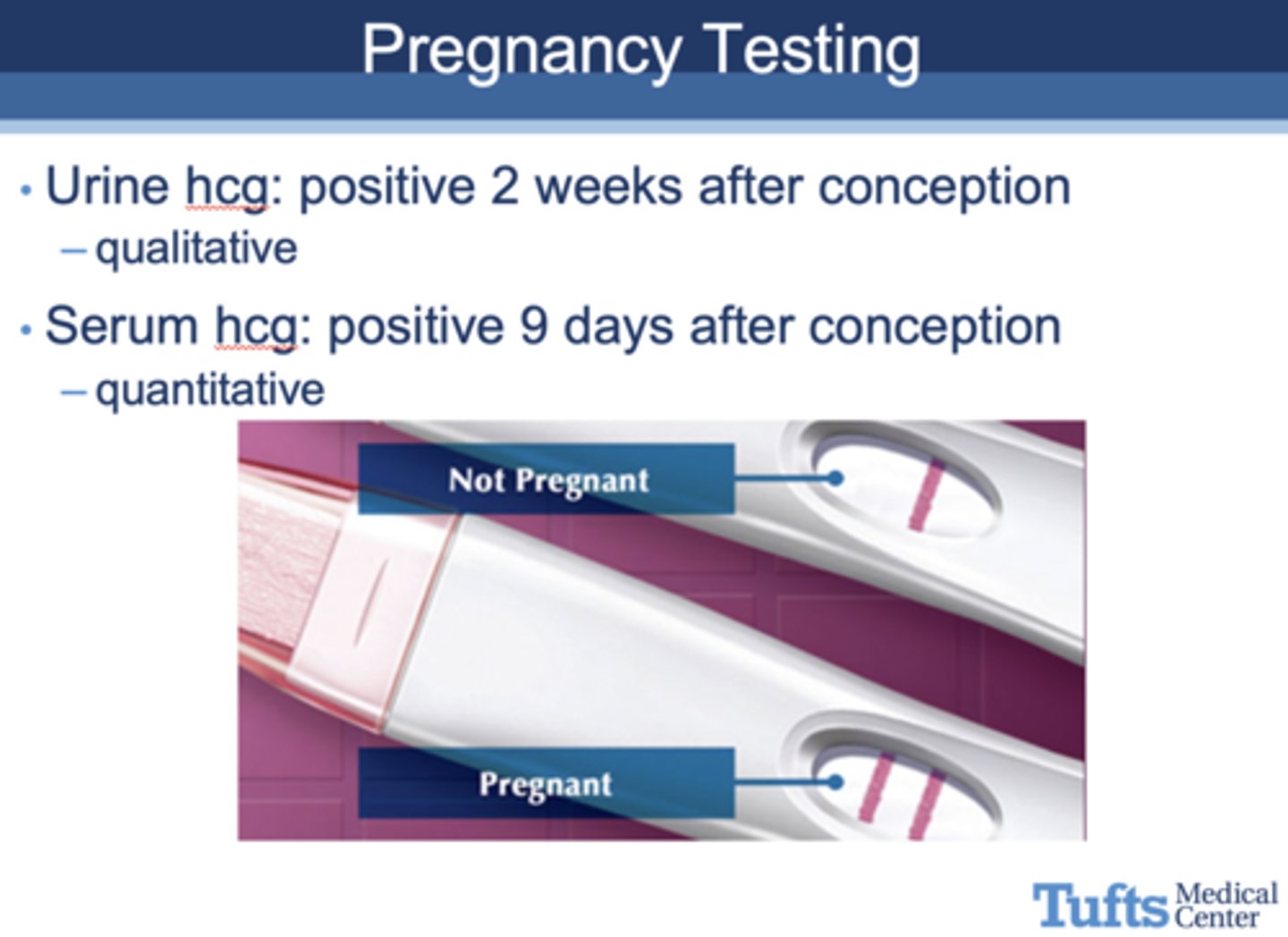 <p>serum hCG test (quantitative)</p>