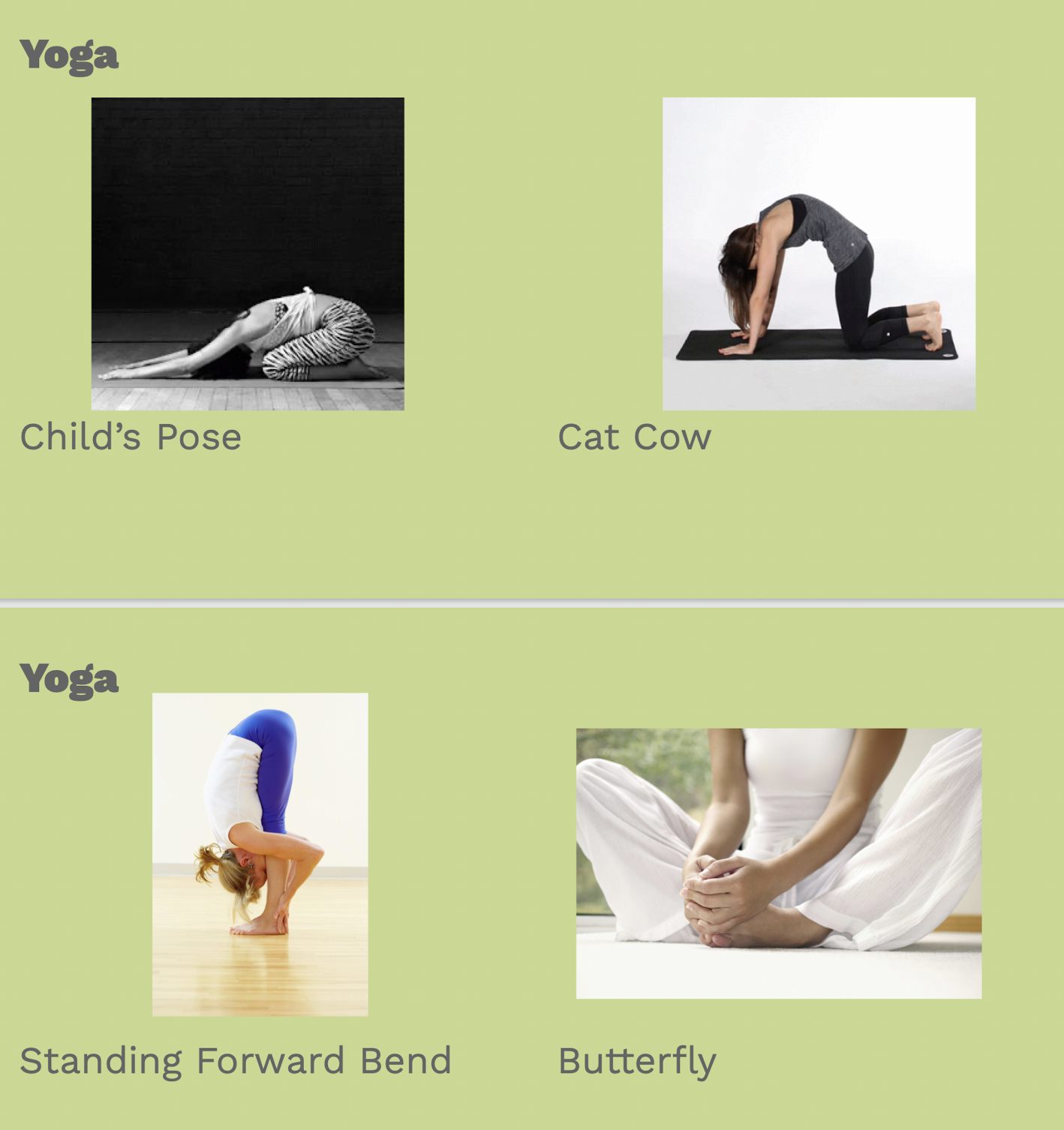 <p>Yoga Exercise</p>