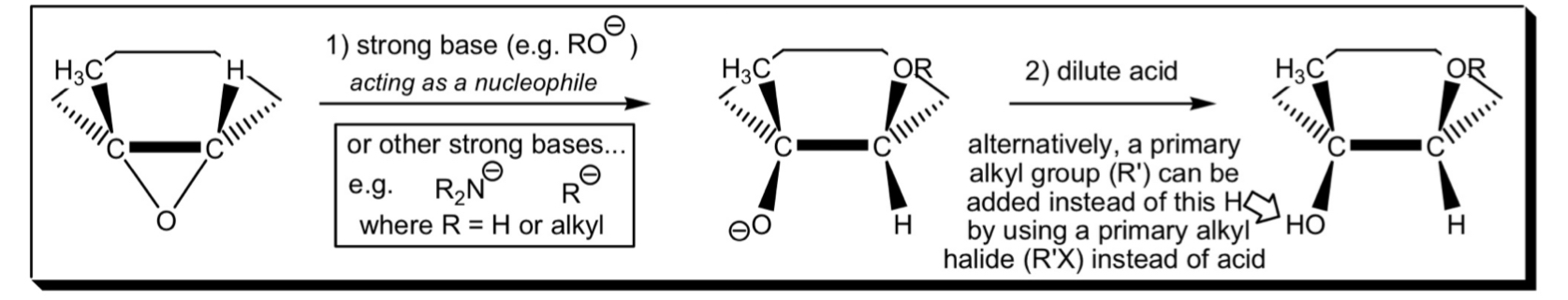 <p>Description of reaction and mechanism</p>