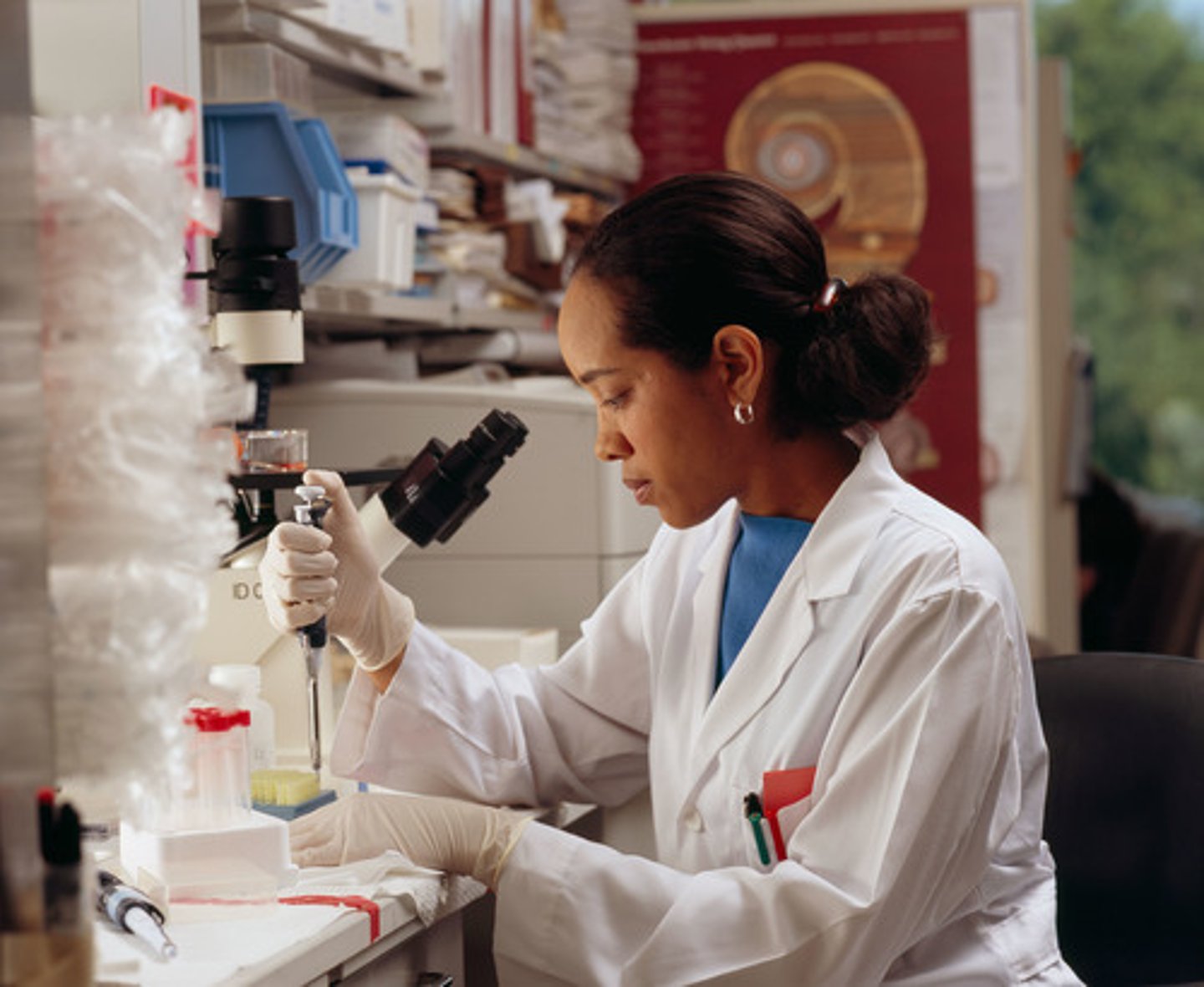 <p>scientist (f)</p>