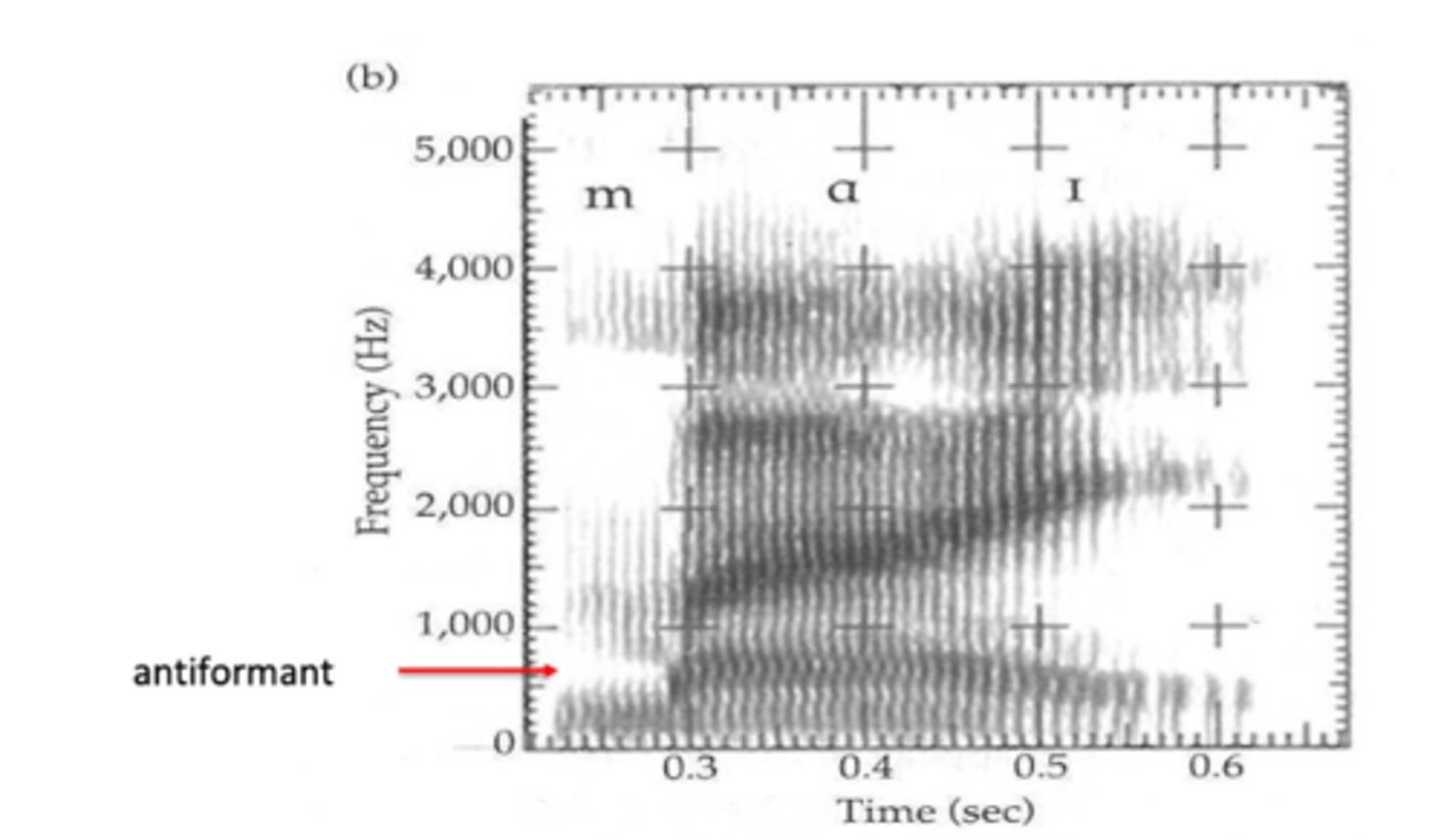 <p>anti-resonances and anti-formants because they are cancelled out, so they show up in the spectrum as valleys rather than peaks</p>