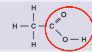 <p>Carboxyl, Carboxylic Acid</p>