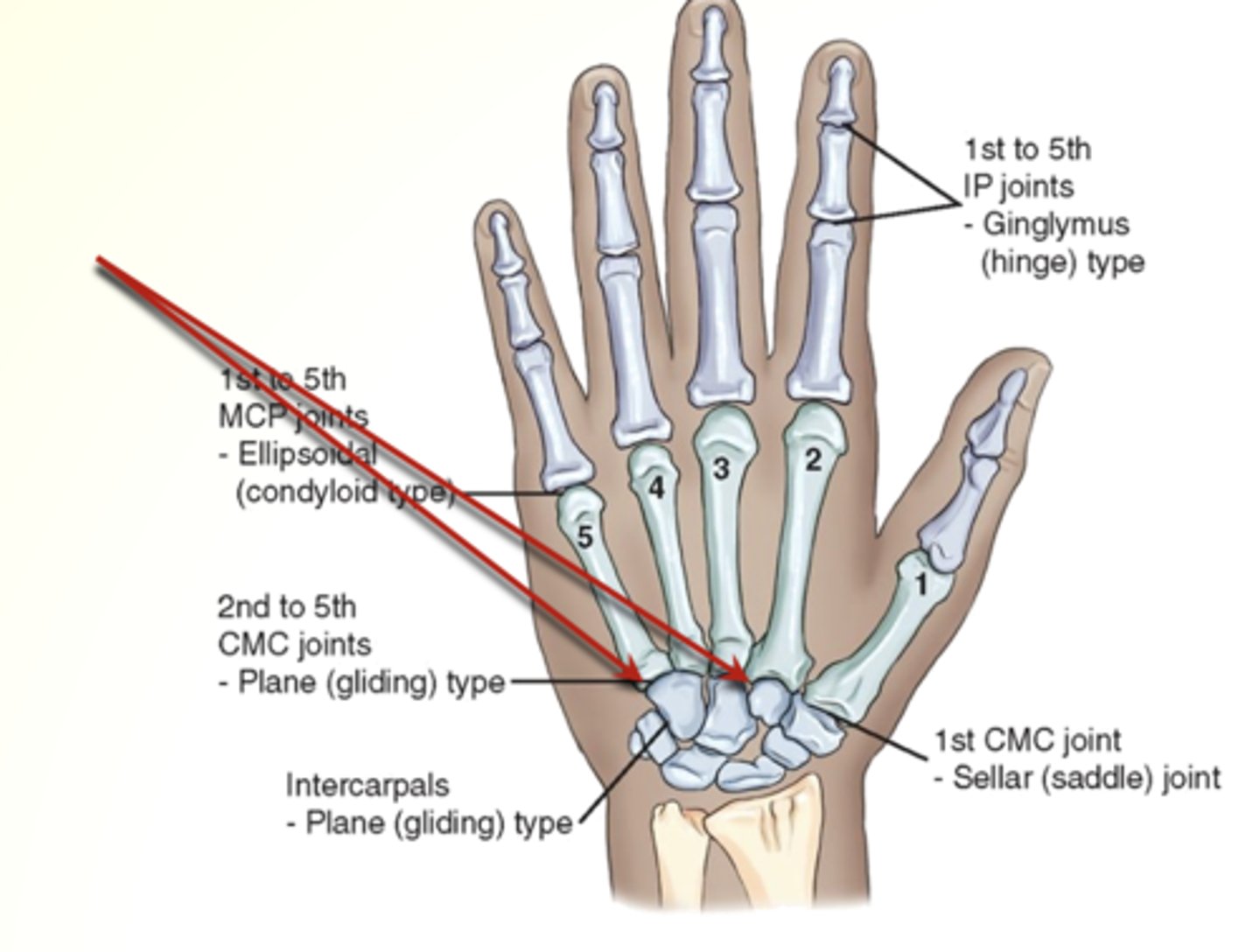 <p>What are these joints called and what kind are they?</p>
