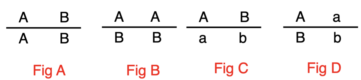 <p><span style="color: blue">An individual is homozygous dominant for genes A and</span><span style="color: blue"><br></span><span style="color: blue">B. If both genes are located in the same chromosome,</span><span style="color: blue"><br></span><span style="color: blue">what would be the correct notation for the A and B loci?</span><span style="color: blue"><br></span><span style="color: blue">A. Figure A</span><span style="color: blue"><br></span><span style="color: blue">B. Figure B</span><span style="color: blue"><br></span><span style="color: blue">C. Figure C</span><span style="color: blue"><br></span><span style="color: blue">D. Figure D</span></p>