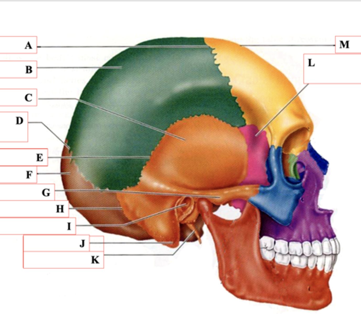 <p>Identify D.</p>