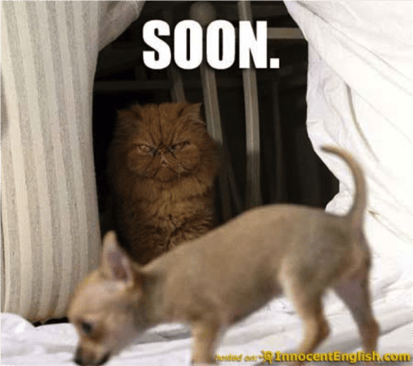 <p>soon</p>
