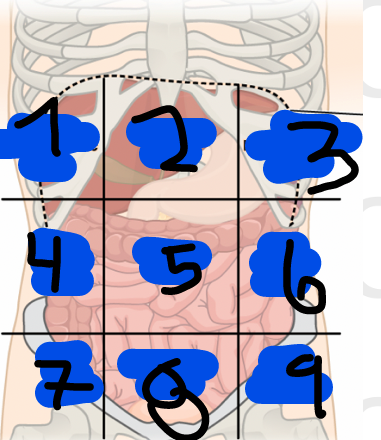 <p>7</p>