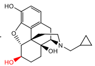 <p>forms 6 beta-naltrexol</p>