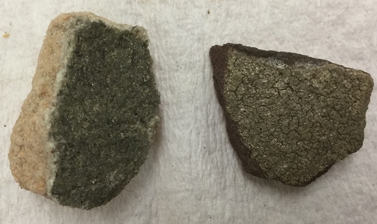 <p>This is a ________ lichen.</p><ul><li><p>Crustose</p></li><li><p>Foliose</p></li><li><p>Fruticose</p></li><li><p>Sucralose</p></li></ul><p></p>