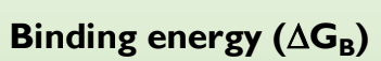 <p>Binding energy (<span>Δ</span>GB)</p>