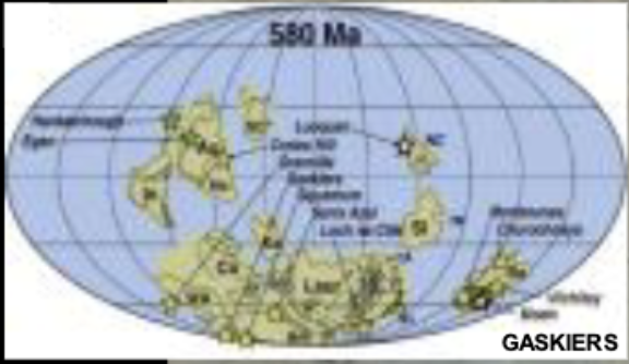 <p>580 Ma</p>