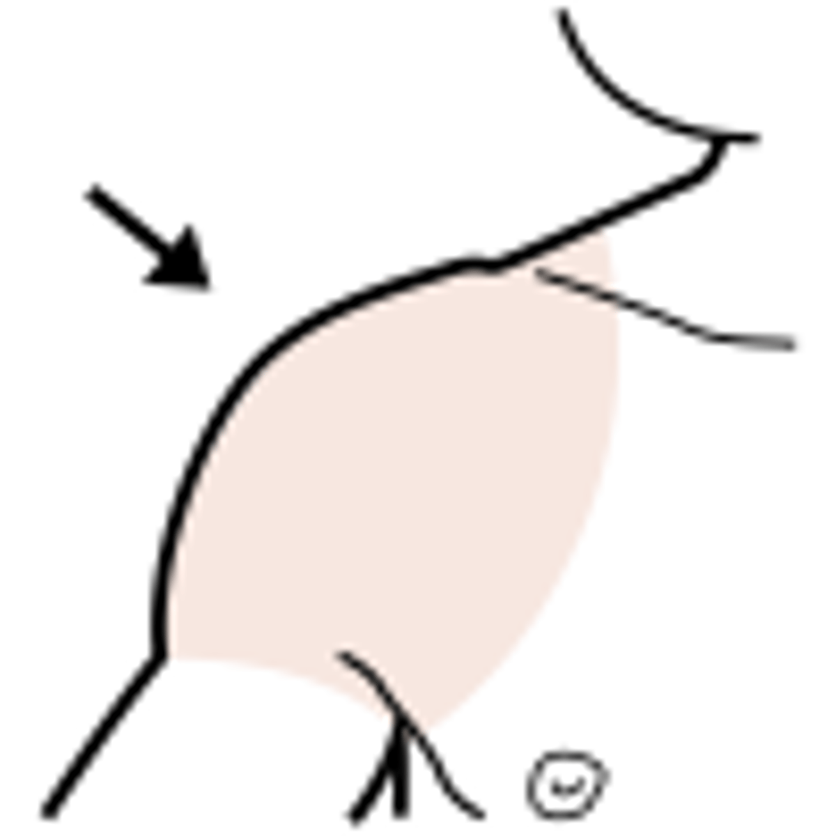 <p>shoulder</p>