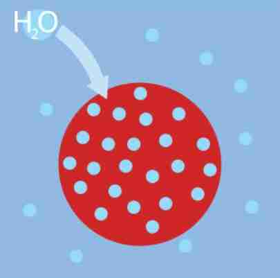 <ul><li><p>solute concentration outside the cell is lower than inside the cell</p></li><li><p>there will be a net flow of water into the cell</p></li></ul>