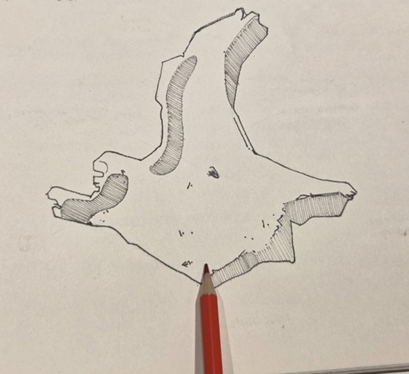 <p>the roughened, expanded inferior edge of the bone, extends from the zygomaticomaxillary to the temporozygomatic suture</p>