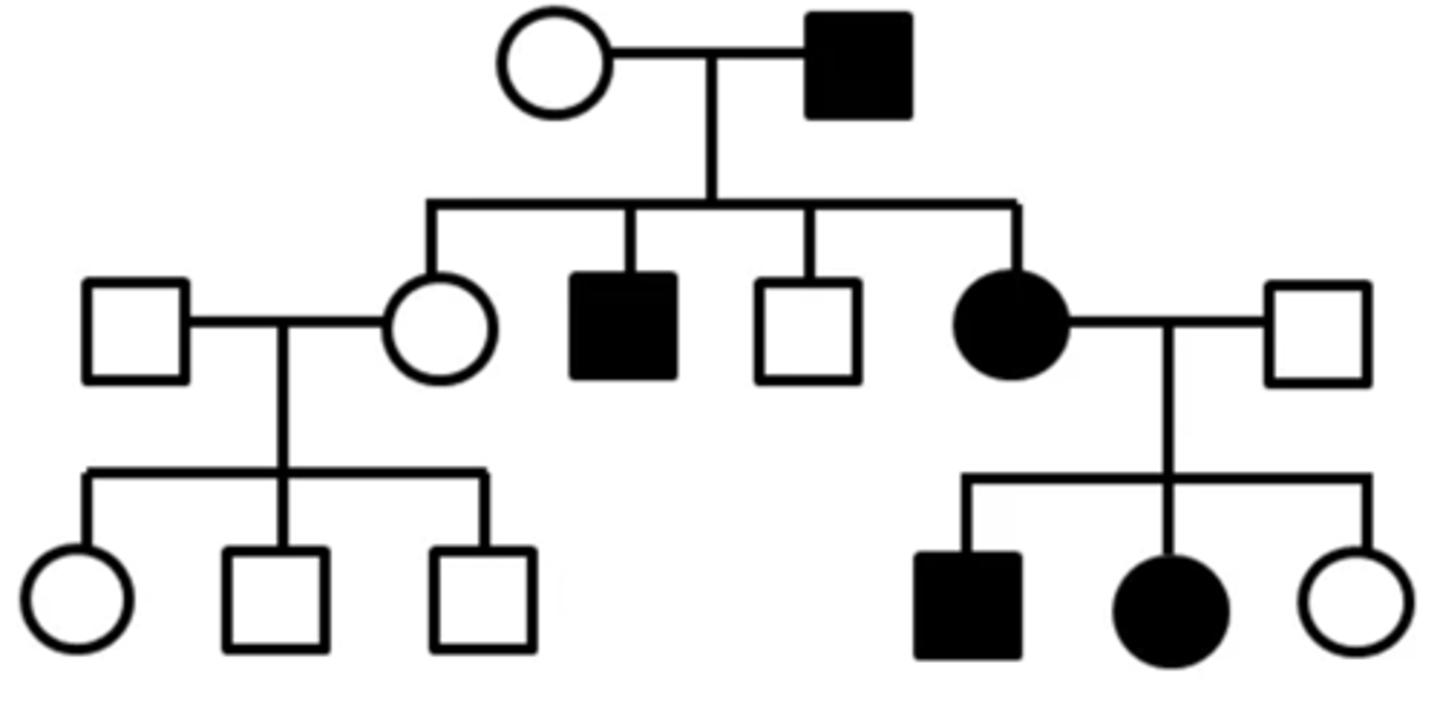<p>One parent is affected; trait does not skip a generation; only half the children are affected; male and female are affected equally</p>