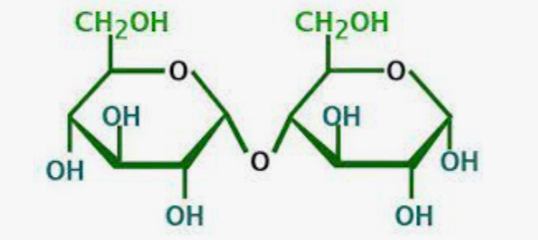 <p>What is this molecule</p>