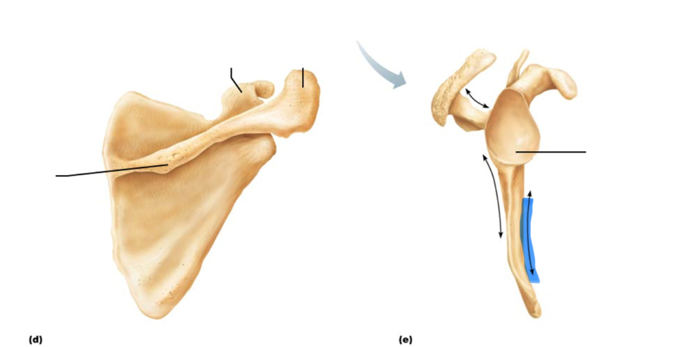 <p>What marking is this?</p>