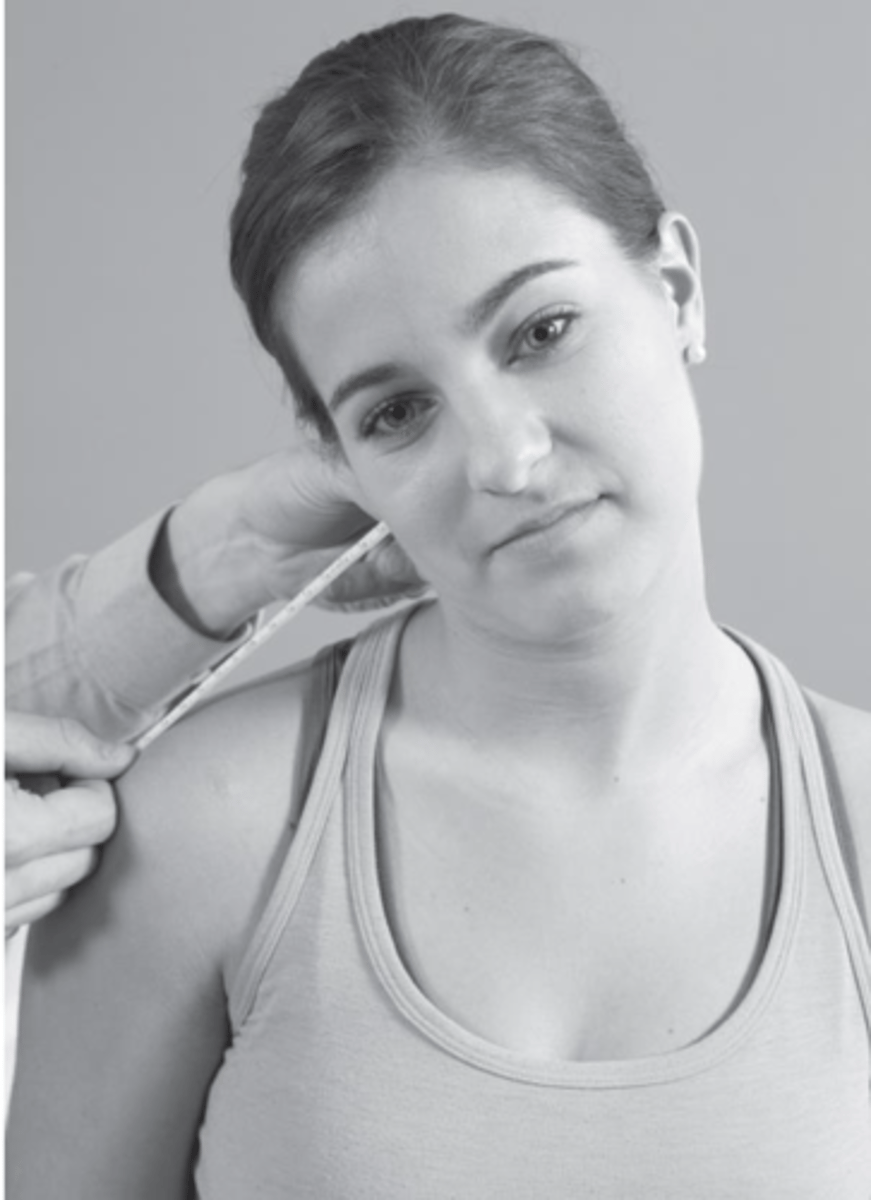 <p>mastoid process to lateral lip of acromion process</p>