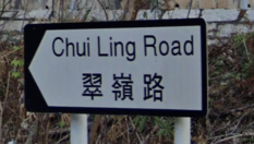 <p>Bilingual road signs with black border around white arrow</p>