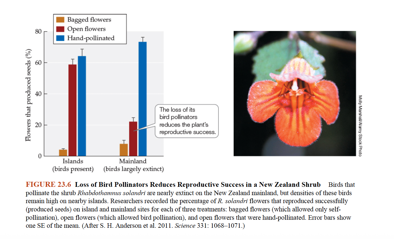 <p><strong>Q:</strong> What does Figure 23.6 reveal about bird pollinator loss in New Zealand?<br></p>
