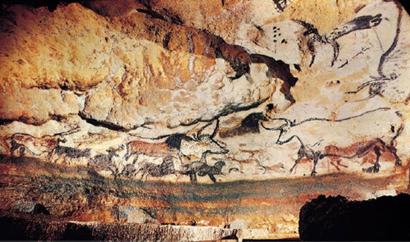 <p>pigment on rock; paint made from charcoal, iron ore, and plants; 650 paintings; 2000 paintings over 2000 years; twisted perspective- bodies depicted in profile, horns frontal POV; linear- line drawn to define animal's contour; used to ensure successful hunt</p>