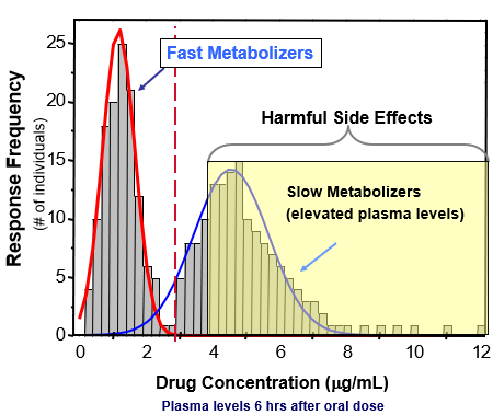 <p>N-acetylation retards clearance of antineoplastic drug amonafide (topoisomerase inhibitor)</p>