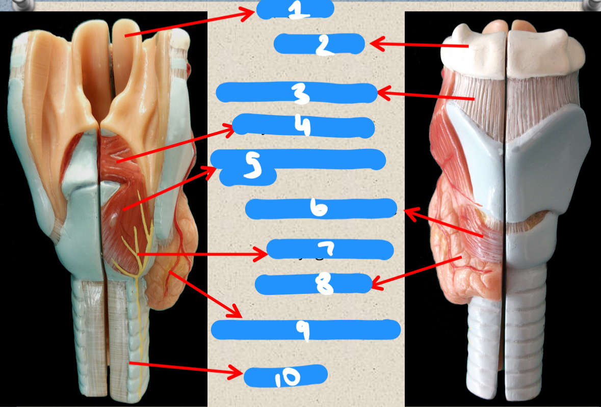 <p>1-5</p>