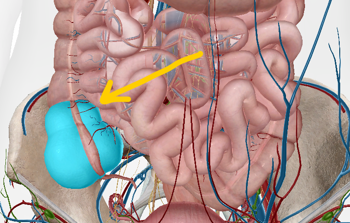 knowt flashcard image