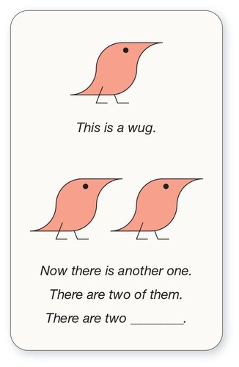 <p>The tendency to apply regular grammatical rules to irregular words.</p>