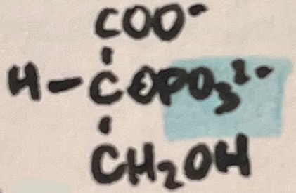 <p>name the following intermediate</p>