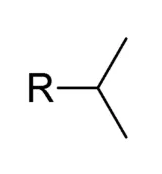<p>What is the name for this alkyl group?</p>
