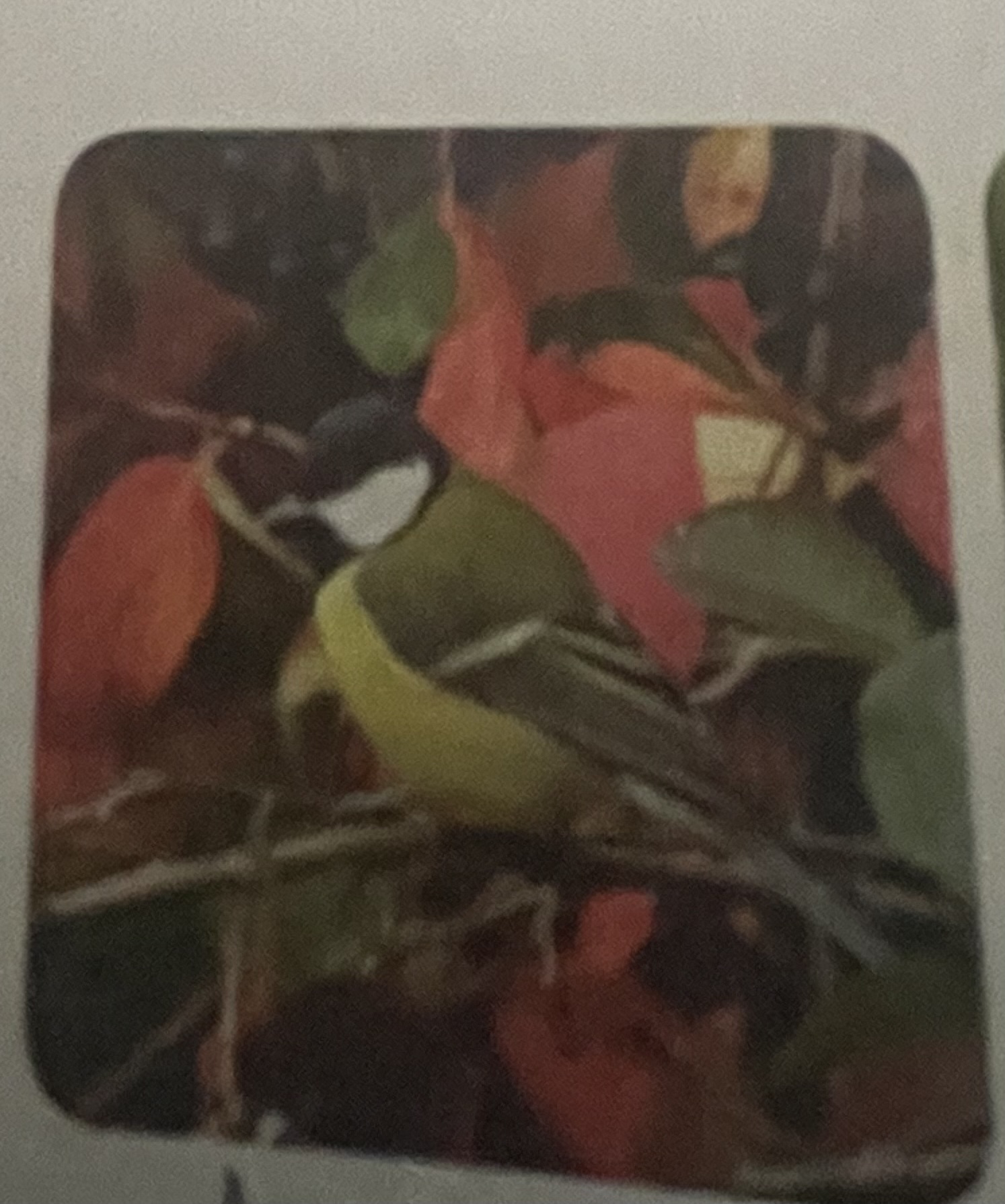 <p>mikä eläin</p>
