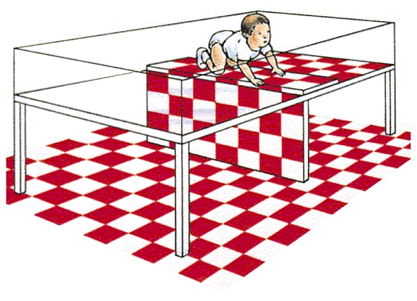 <p>A laboratory device for testing depth perception in infants and young animals.</p>