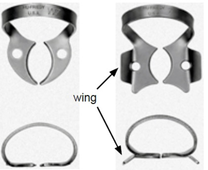 <p>What are the components of a retainer (clamp)?</p>