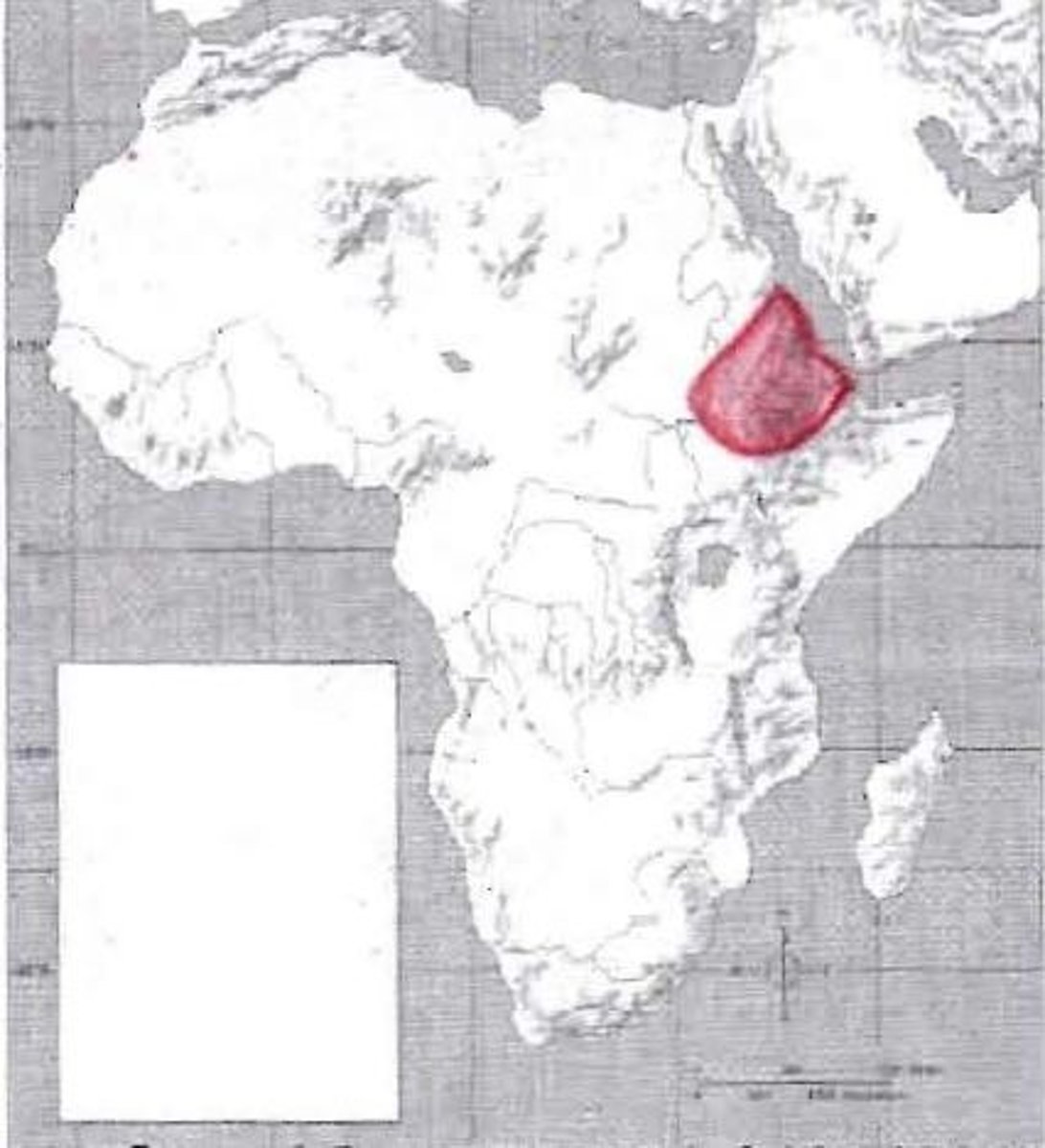 <p>Powerful ancient Christian kingdom in northern present-day Ethiopia</p>