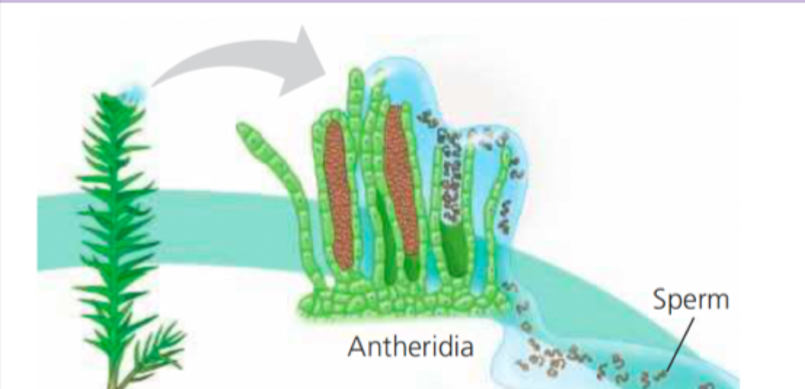 <p>What is this</p>